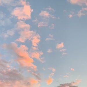 Meet your Posher, Mallory